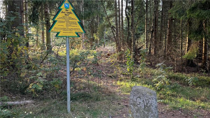 Alte Kriegsmunition verzögert Bau eines Grenzübergangs im Harz Auf dem Foto sind ein Stein und ein Schild in Form einer Tanne mitten im Wald zu sehen.