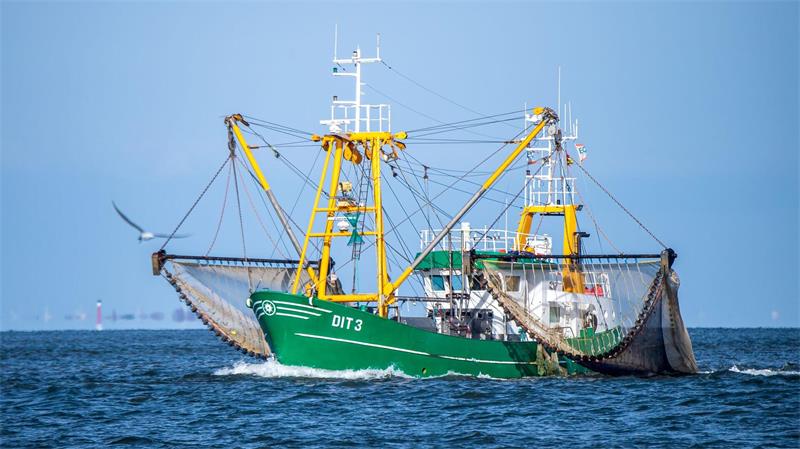Das für die Fischerei nutzbare Gebiet soll schrumpfen. (Symbolbild)
