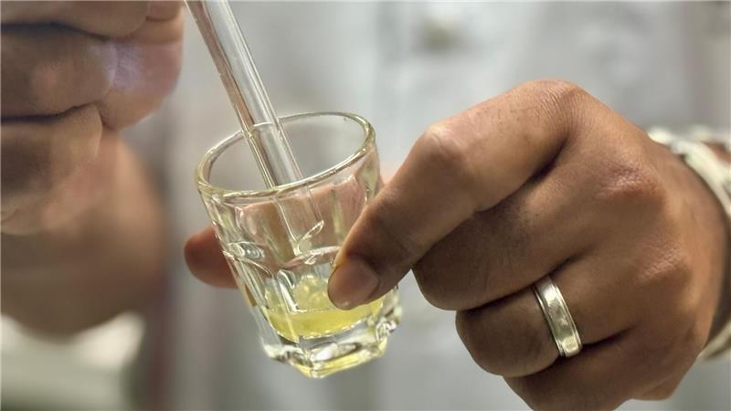 Das gefährliche Gift ist gelblich und zäh - und wichtig für die Produktion von Antiserum.