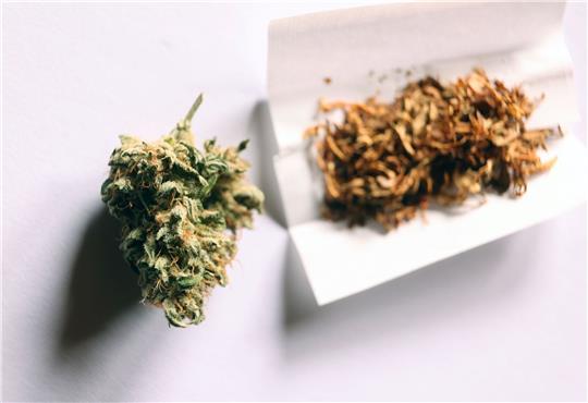 Das neue Gesetz erlaubt Volljährigen in Deutschland ab dem 1. April den Konsum von Cannabis.