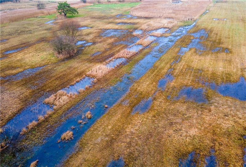 Warum das Schwinden der Moore so brisant ist Das rund 36 Hektar große wiedervernässte Hangquellmoor Binsenberg. Trockengelegte Moore stoßen Treibhausgas aus. Ihre Wiedervernässung gilt als wichtige Klimaschutz-Maßnahme.