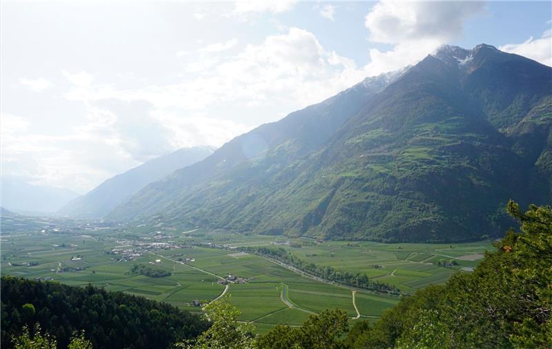 Südtiroler Äpfel: Pestizidbelastung auch in Berglagen Das untere Vinschgau ist geprägt von Apfelplantagen.