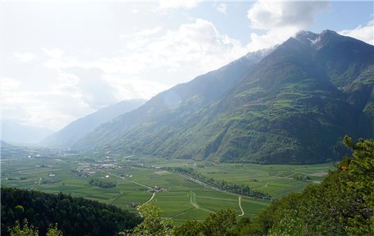 Das untere Vinschgau ist geprägt von Apfelplantagen.