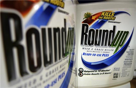 Das von Monsanto hergestellte Unkrautvernichtungsmittel Roundup mit dem umstrittenen Wirkstoff Glyphosat. Der Bayer-Konzern, zu dem Monsanto mittlerweile gehört, kassierte nun einen schweren Dämpfer. Foto: Jeff Roberson/dpa