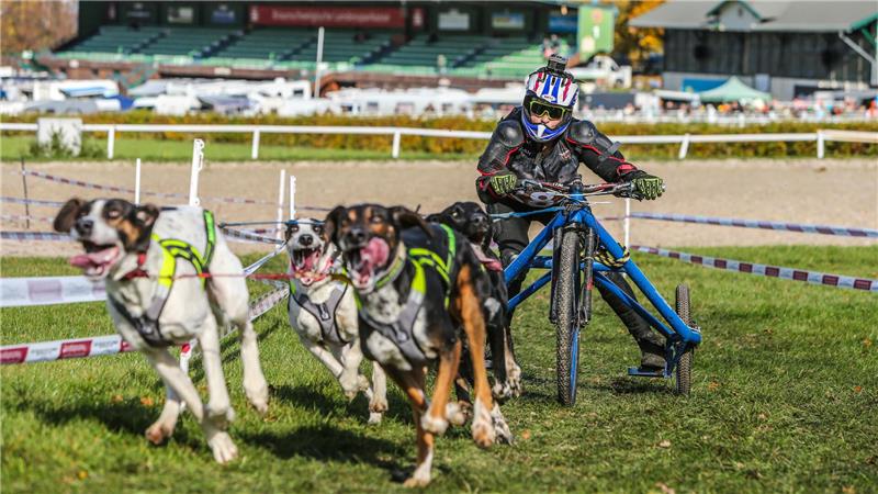 Das weiche, leicht hügelige Geläuf ist für Mensch und Tier eine Herausforderung zum Saisonstart.
