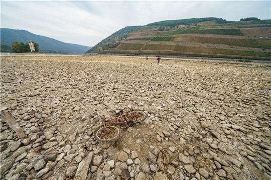 Das weitgehend ausgetrocknete Flussbett des Rheins bei Bingen im vergangenen August. Forschern zufolge befindet sich die Erde bereits bei Alarmstufe Rot.