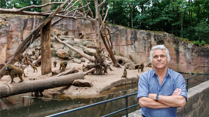 Dass die Tötung der Paviane im Gegensatz zu vielen anderen Zootieren für einen Aufschrei sorgt, ist nach Ansicht von Direktor Dag Encke eine emotionale Geschichte.