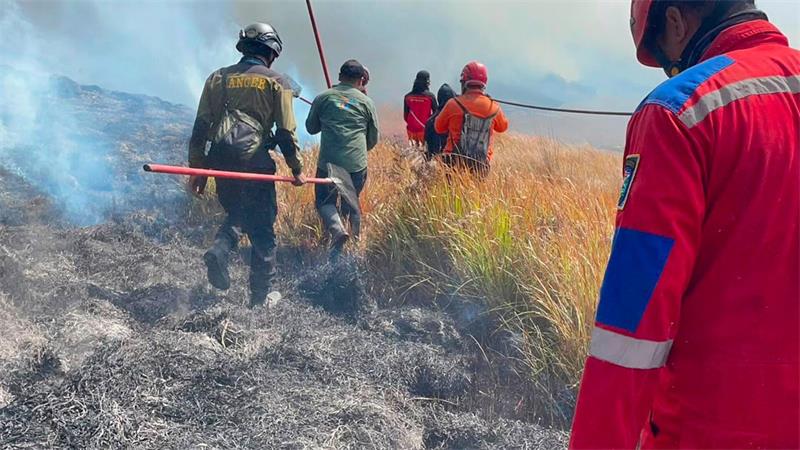 Waldbrand am Vulkan Bromo: Sperrungen für Touristen Dem Feuer sind schon 70 Hektar Land zum Opfer gefallen.