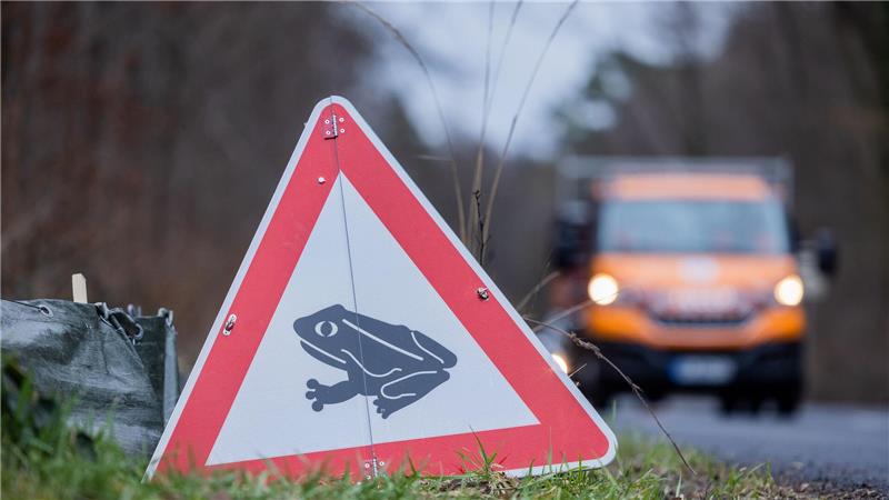 Dreieckiges Warnschild mit Froschsymbol am Straßenrand und unscharfem orangefarbenem Fahrzeug im Hintergrund
