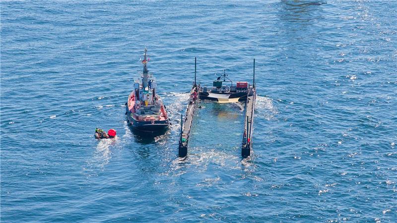 Dem Umweltministerium von Mecklenburg-Vorpommern liegen noch immer keine Daten zum Verbleib des freigesetzten Buckelwals vor. (Archivbild)