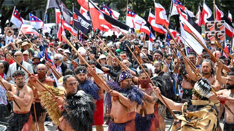 Demonstranten tragen die traditionelle Kleidung der indigenen Bevölkerung und präsentieren die Maori-Flagge, 