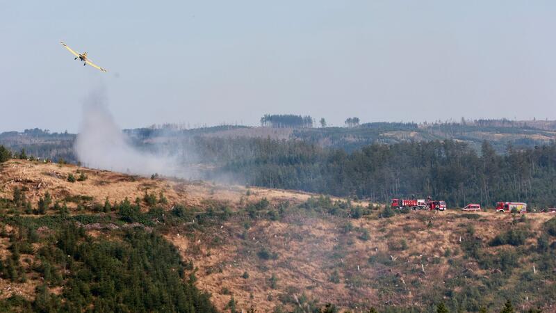 Den Angaben zufolge hatte bei Ilsenburg eine Fläche mit Sträuchern und frisch gepflanzten Sträuchern Feuer gefangen. 