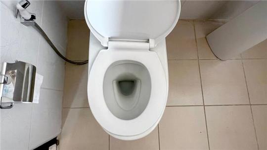 Den Frauen wurde bei der Toilettenreinigung eine toxische Mischung zum Verhängnis. (Symbolbild)