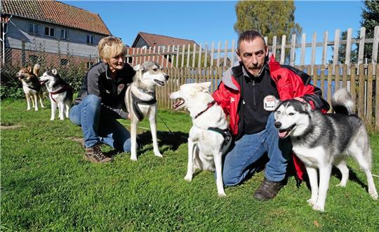 Den Huskys verschrieben: Gabriele und Manfred Gromann teilen sich Haus, Hof, Garten und Wohnmobil mit ihren fünf Hunden. Manfred Gromann ist Hobby-Musher. Nicht mehr alle seine Huskys laufen Rennen. Tikaani (kleines Bild) und Suka (großes Bild rechts) werden allerdings an diesem Wochenende beim Indian Summer Race antreten.