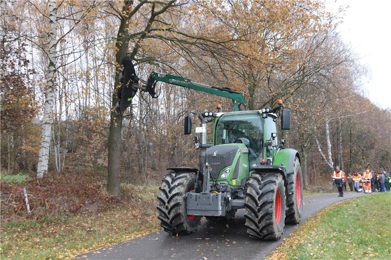 Den ordnungsgemäßen Gehölzschnitt führt die Feldmarkinteressentschaft Bornhausen gemeinsam mit der Unteren Naturschutzbehörde, den Mitgliedern und Mitarbeitern des Bauhofs vor. Sören Aschenbrenner (Foto) demonstriert den Gehölz-Schnitt. Foto: Jambrek