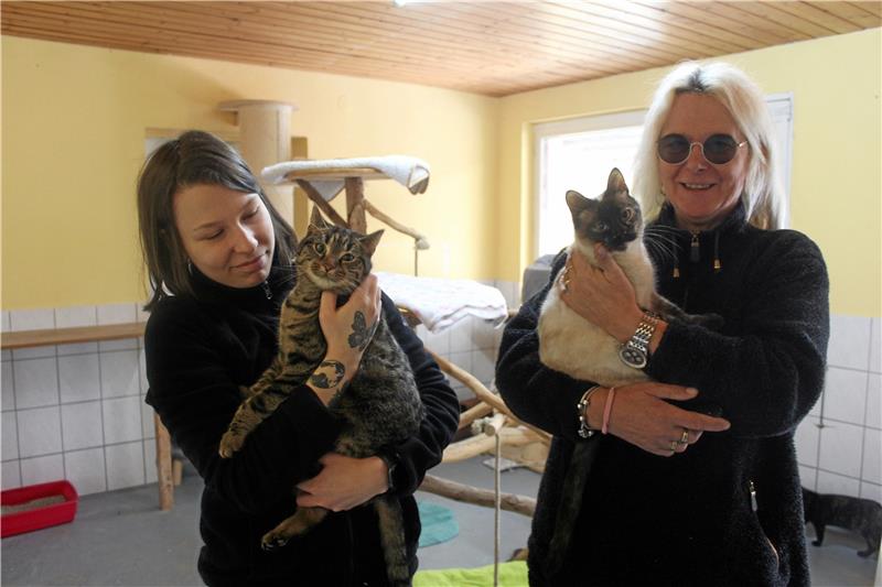 Denise Thormann (links)  hält Fundkatze Henriette im Arm. Die Zweijährige ist trächtig ins Tierheim gekommen und hat dort ihre Kitten zur Welt gebracht. Die wurden bereits alle vermittelt, doch sie selbst sucht immer noch nach einem Zuhause. Klaudia Klensmann (rechts)  ist Mitglied des Tierheim-Vorstands und hält ihre einjährige Katze Saphira im Arm. Foto: Jenzora