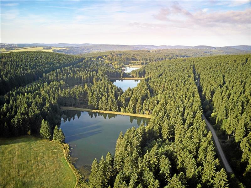 Auerhahn-Kaskade soll viel mehr Touristen in den Oberharz locken Denkmal- und Landschaftsschutz plus Trinkwasser: Die Auerhahn-Kaskade mit sechs Teichen – Flöß- und Grumbacher Teiche sowie Auerhahn-Teich – ist ein Weltkulturerbe-Teil der Oberharzer Wasserwirtschaft. Archivfoto: Welterbestiftung/Sobotta