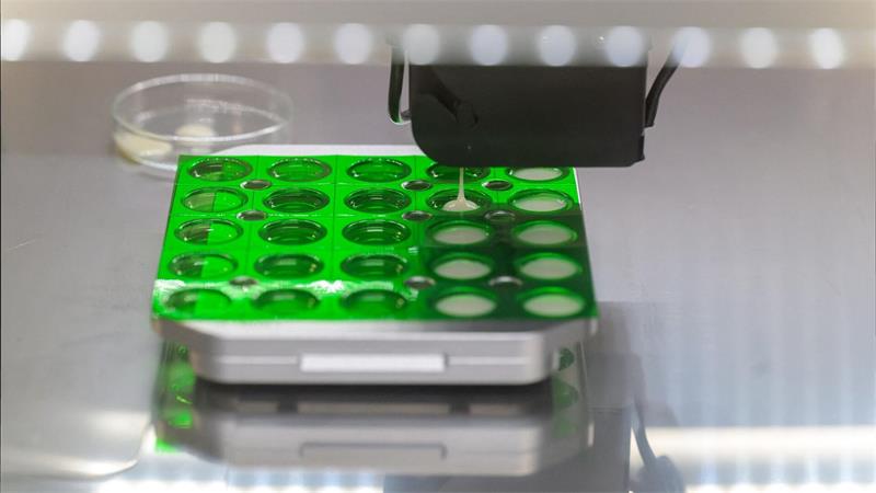 3D-Drucker stellt Kautabletten für schwer kranke Kinder her Der 3D-Arzneimitteldrucker in der Apotheke des Klinikums Oldenburg stellt Kautabletten für schwer kranke Kinder her.
