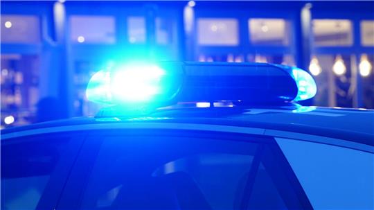 Der 46-Jährige wird wegen räuberischen Diebstahls vom Schöffengericht zu einer 13-monatigen Bewährungsstrafe verurteilt.