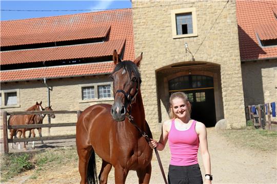 Der 9-jährige Wallach Never In Doubt ist das aktuelle Lieblingspferd von Anna-Lena Weidler. Foto: J. Fricke