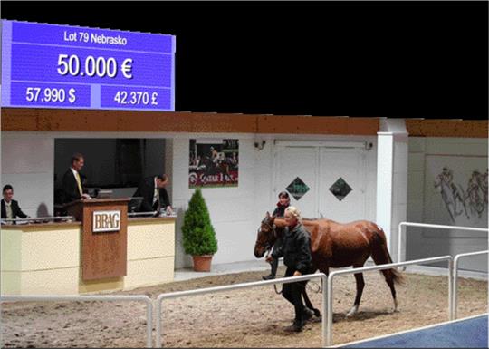 Der Adlerflug-Sohn Nebrasko wird von Auktionator Daniel Delius (2. von links) in Baden-Baden für 50.000 Euro Wilhelm Feldmann zugeschlagen. Foto: Rühl