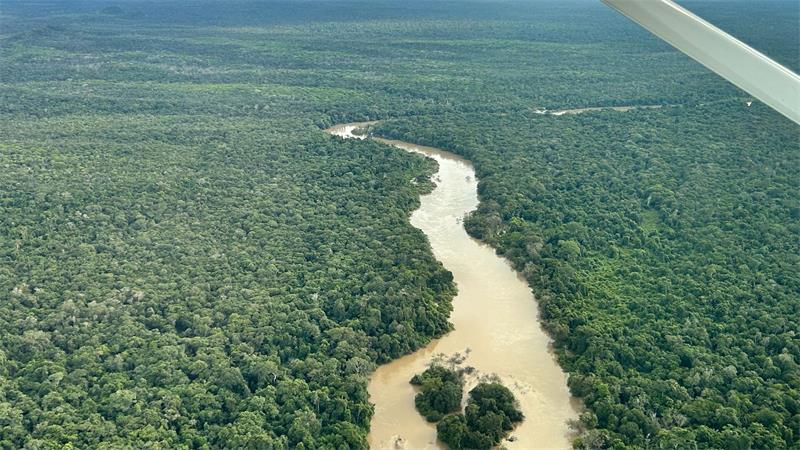 Bolsonaro-Sohn fordert Brasiliens Präsidenten Lula heraus Der Amazonas-Regenwald steht beim Wahlkampf dieses Jahr weniger im Fokus. (Archivbild)