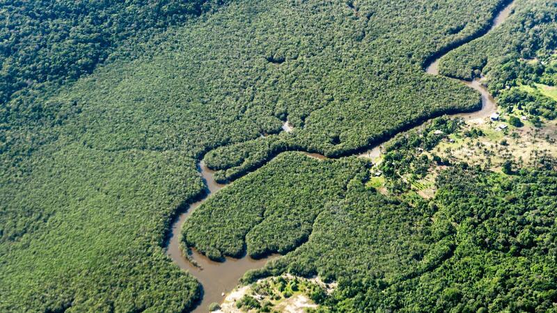 Der Amazonas-Regenwald wird als „grüne Lunge der Erde“ bezeichnet, weil er große Mengen Kohlendioxid absorbiert und Sauerstoff produziert. (Archivbild)