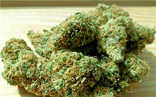 Der Anbau von Cannabis wird einem 35-Jährigen zum Verhängnis.  Foto: pixabay