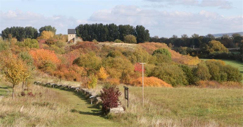 Der Archäologie- und Landschaftspark Kaiserpfalz Werla mit dem rekonstruierten Westtor: Er ist ein Refugium für viele Tiere und Pflanzen.