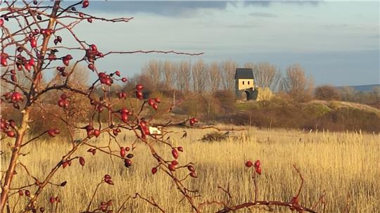 Der Archäologie - und Landschaftspark der Kaiserpfalz Werla hat geschichtlich viel zu bieten. Nun soll auch die besondere Flora und Fauna vorgestellt werden