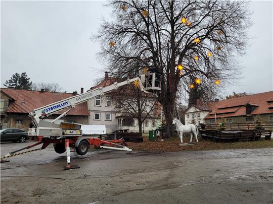 Der Aufbau im Harzburger Gestüt läuft. Foto: Exner
