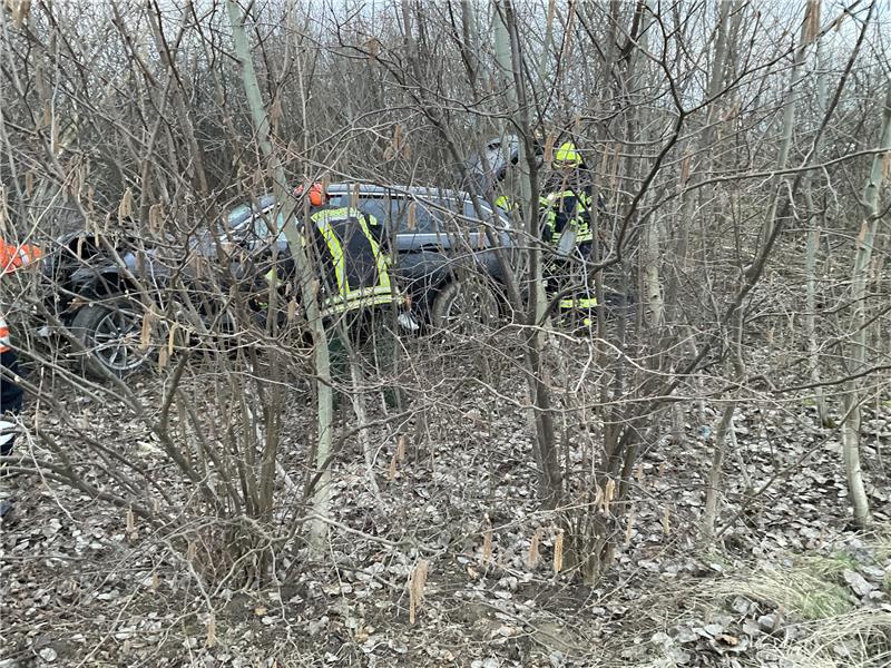 Reifen-Platzer führt zu Unfall auf der A7 Der BMW schlug sich eine Schneise durch Gestrüpp und junge Bäume. Foto: Feuerwehr