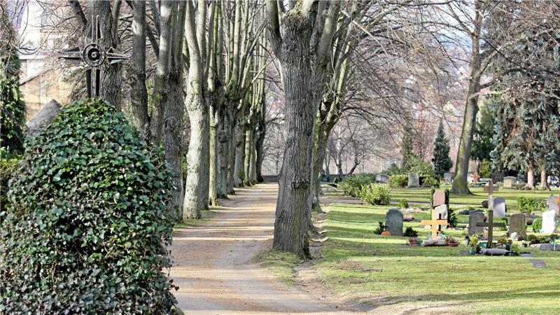 Der Bad Harzburger Friedhof hat einen erhabenen Parkcharakter. Der soll weiter gepflegt werden.