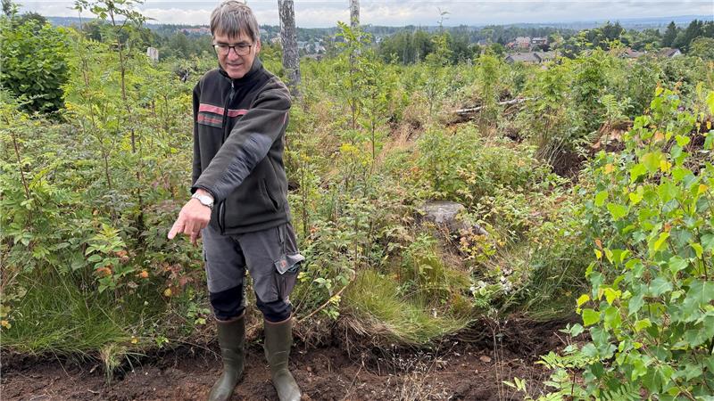 Der Bagger hat ganze Arbeit geleistet. In diesem Bereich können nun im Oktober die Buchensetzlinge in die Erde gebracht werden, zeigt Förster Harald Laubner.