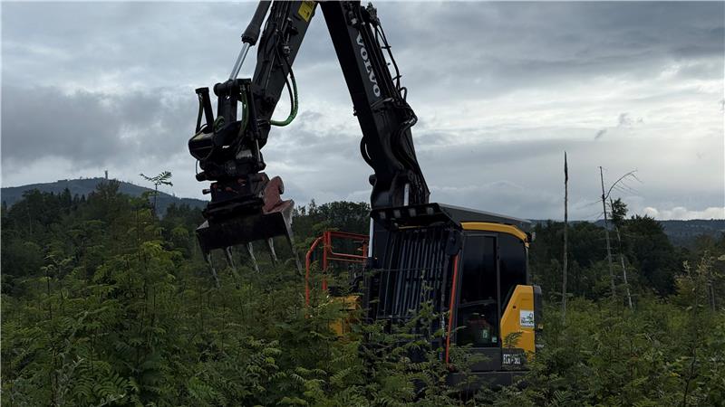 Der Bagger ist oberhalb des Birkenwegs bei Braunlage in der Vegetation unterwegs.