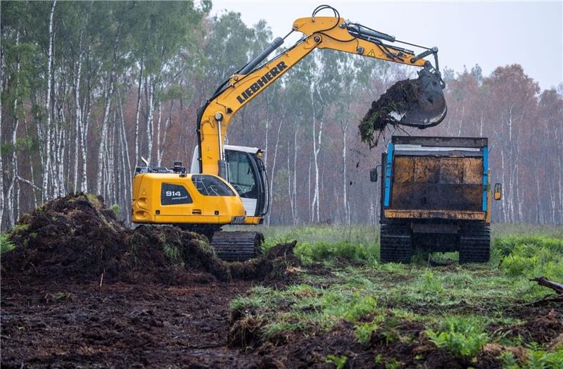 Noch unverzichtbar: Garten- und Gemüsebau brauchen Torf Der Bagger trägt im Göldenitzer Moor die obere Bodenschicht samt Pflanzen ab, um die spätere Ernte des Torfs vorzubereiten.