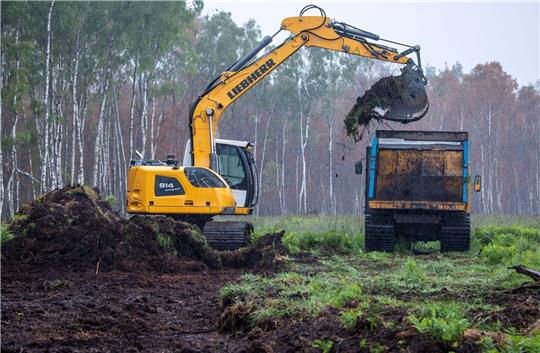 Der Bagger trägt im Göldenitzer Moor die obere Bodenschicht samt Pflanzen ab, um die spätere Ernte des Torfs vorzubereiten.