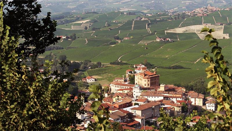 Der Barolo aus der Umgebung der gleichnamigen Gemeinde gehört zu den berühmtesten Weinen der Welt. (Archivbild)