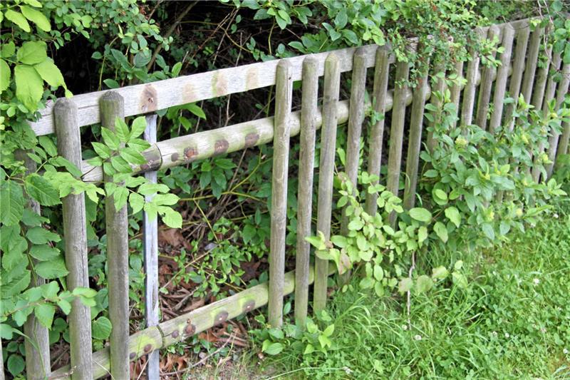 Der Bauhof kündigte an, die zertretenen Zäune schnell zu reparieren.