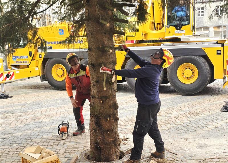 Der Baum steht, einige Äste müssen noch von den Baumfällern abgesägt werden.