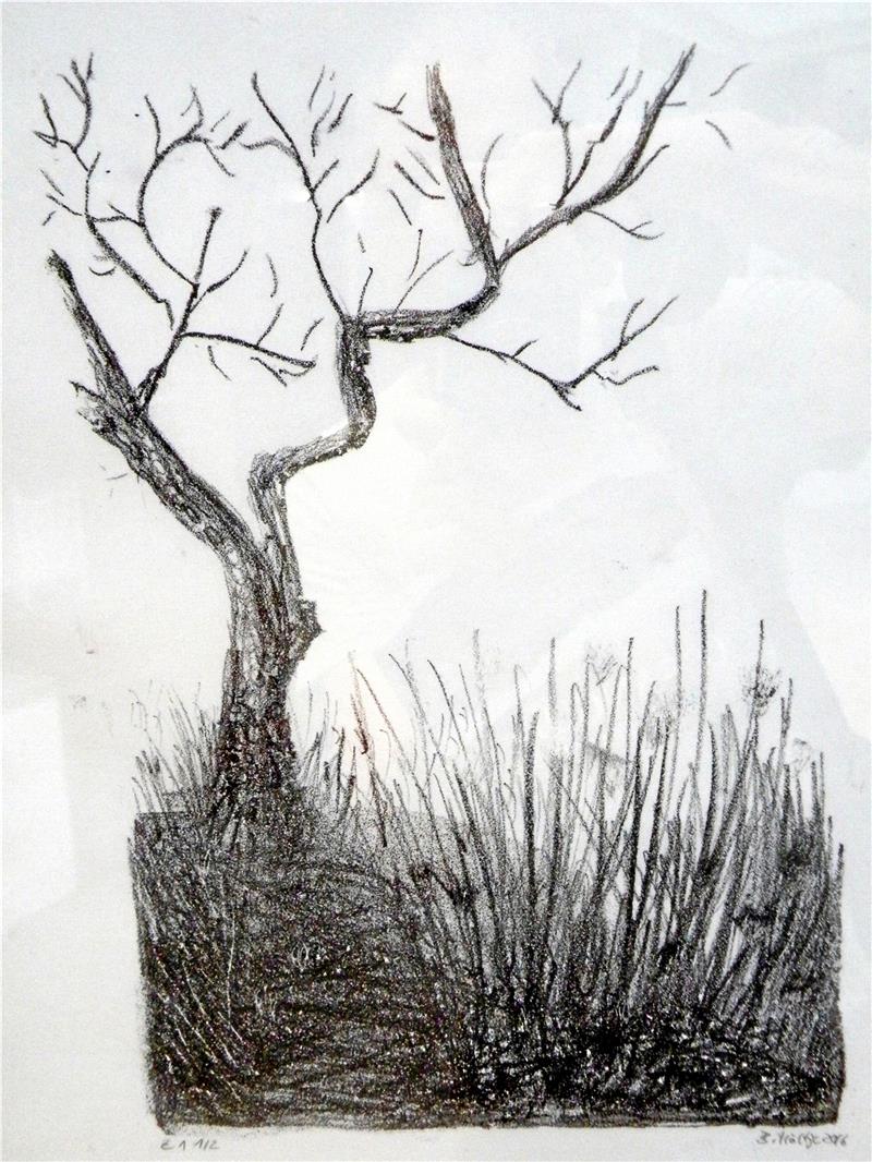 „Der Baum“ von Bianca Höltje.