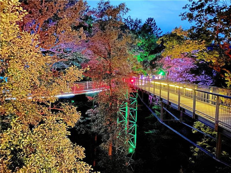 Der Baumwipfelpfad ist eines der „Leuchtturmprojekte“ Bad Harzburgs. Für welche Dinge die Abgaben der Hoteliers und Gastronomen künftig verwendet werden, wollen die Zahler in einem Gremium mitbestimmen.  Archivfoto: Schlegel