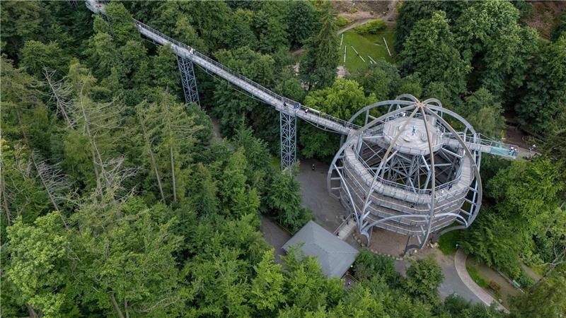 Touristiker im Harz fordern Unterstützung aus der Politik Der Baumwipfelpfad war die erste größere Attraktion in der jüngeren Vergangenheit in Bad Harzburg. Im Hintergrund ist die Baustelle für die neue Wipfel-Erlebnis-Welt zu erkennen.