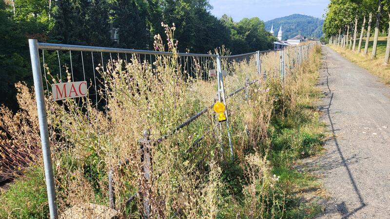 Goslarer Bahnmauer: Der Bauzaun bleibt noch etwas Der Baustellenzaun am Bahndamm bleibt aus Sicherheitsgründen bis zur nächsten Pflanzperiode stehen.
