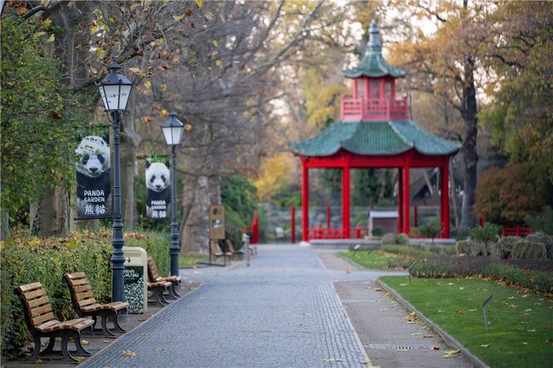 Berliner Zoo nach Vogelgrippe-Fall weiter geschlossen Der Berliner Zoo ohne Besucher: Der Zoo ist nach einem Fall von Vogelgrippe weiterhin geschlossen.