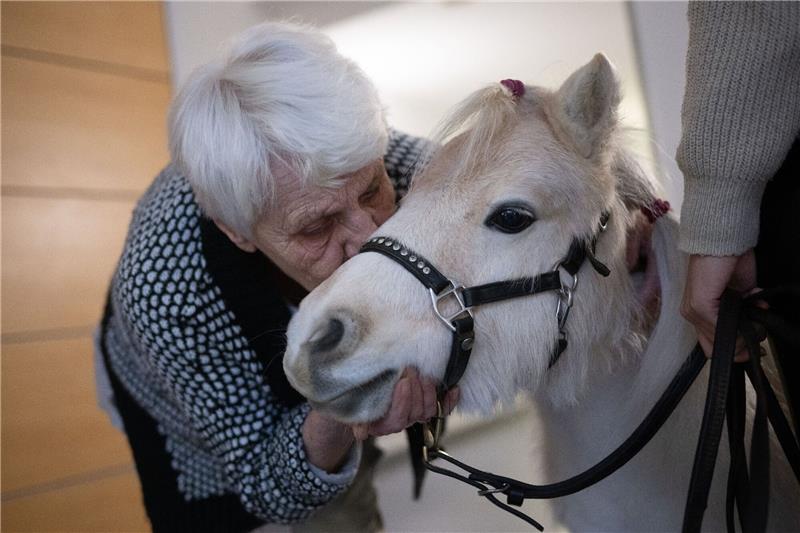Ein Pony bringt Glücksgefühle ins Pflegeheim Der Besuch der Ponys im Altenheim bringt Abwechslung für die Bewohnerinnen und Bewohner.
