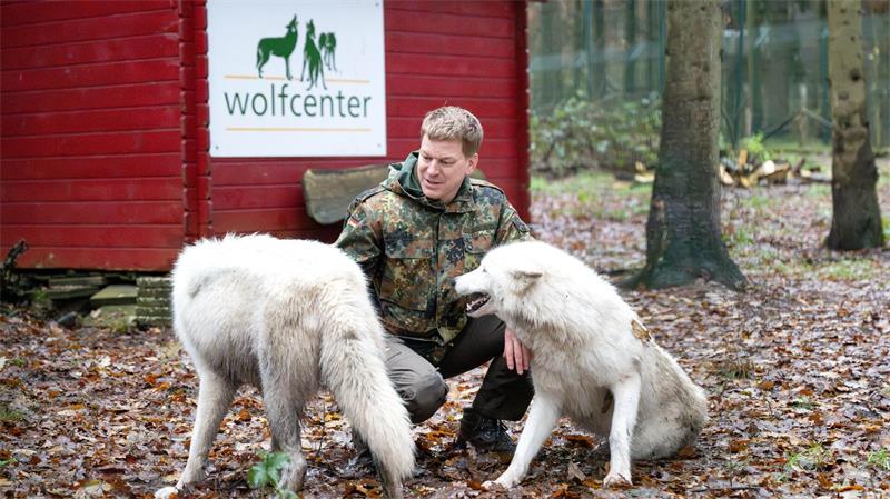 Der Betreiber des Wolfcenter Dörverden, Frank Faß, geht zu seinen Wölfen auch ins Gehege - für fremde Besucher ist das aber tabu. (Archivbild)