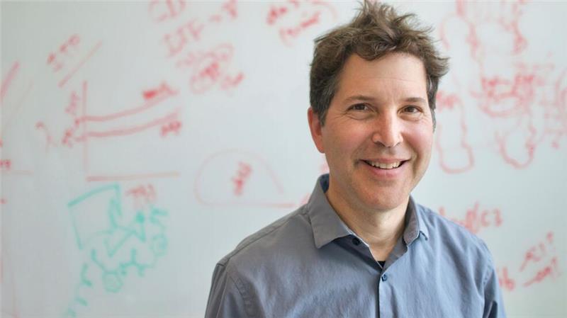 Chemie-Nobelpreis für Vorhersage und Bau von Proteinen Der Biochemiker Baker entwickelte an der University of Washington in Seattle Ende der 1990er Jahre eine Software zur Vorhersage der Faltung von Proteinen. Später schuf er ein Programm, zur Schaffung von Proteinen. (undatiertes Foto)