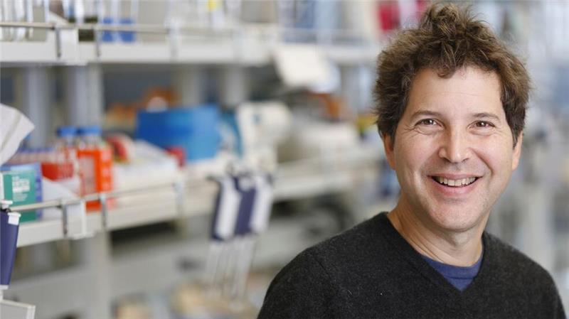 Chemie-Nobelpreis für Vorhersage und Bau von Proteinen Der Biochemiker Baker entwickelte an der University of Washington in Seattle Ende der 1990er Jahre eine Software zur Vorhersage der Faltung von Proteinen. Später schuf er ein Programm, zur Schaffung von Proteinen. (undatiertes Foto)