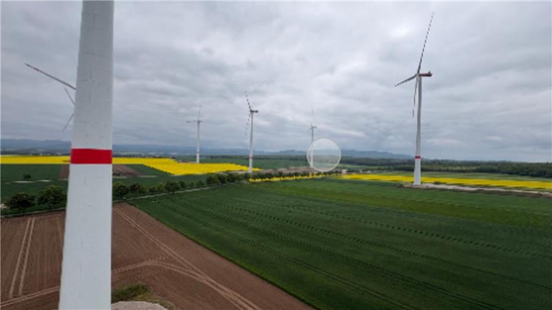 Mehrere Windräder stehen auf Feldern unter bewölktem Himmel